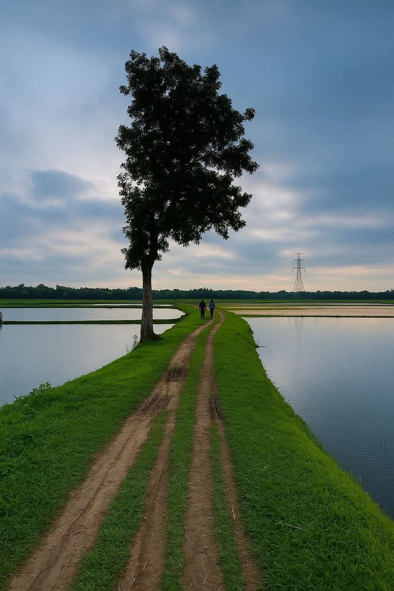 मन को मोह लेने वाला गांव का शाम 😍
वो गांव का रास्ता वो दोस्तों का साथ, जब भी देखता हूँ ऐसी राहें याद आ जाता है अपना बचपन और अपनों का साथ।