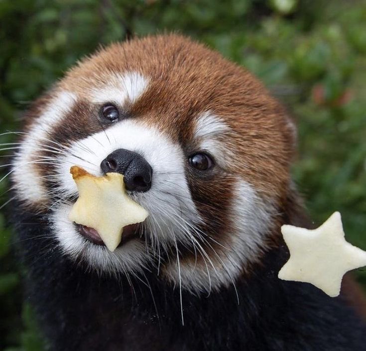 í (@neverrtoheavenn) on Twitter photo 