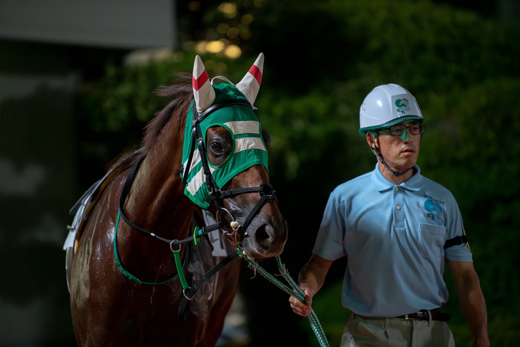マグナムセイバープレミアム　矢野貴之騎手 マグナムセイバープレミアム 矢野貴之騎手