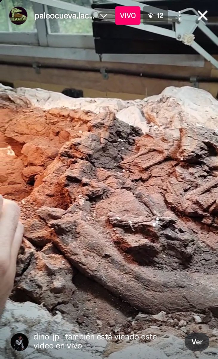 En el Instagram de @paleocueva.lacev estamos preparando (limpiando los fósiles) de un dinosaurio en vivo RIGHT NOW!!
🦖🦖🦖🦖
Aprovechando el viento de cola del Falcor too 🛥️🐙🪸