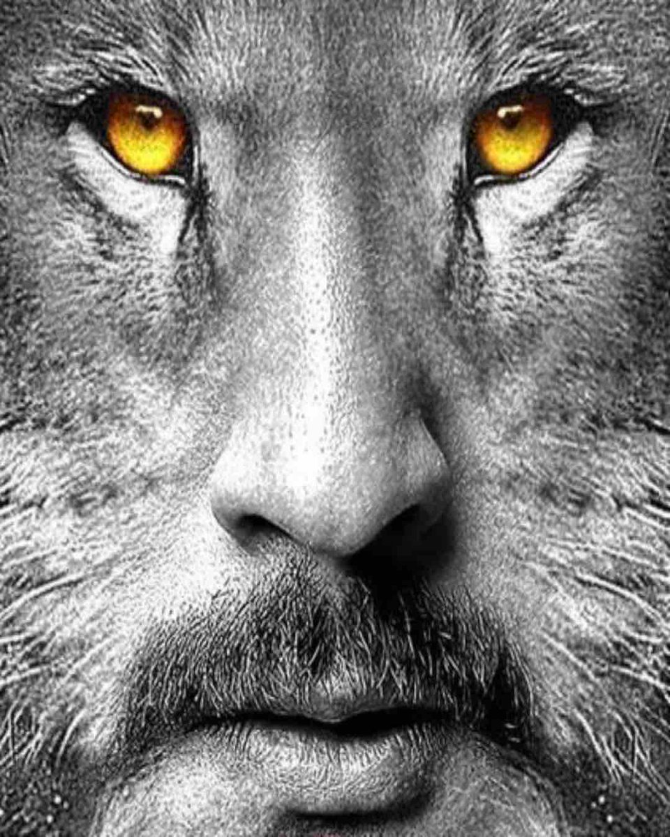 SwatmasterR's tweet image. ts is frying me 🥀 🥀