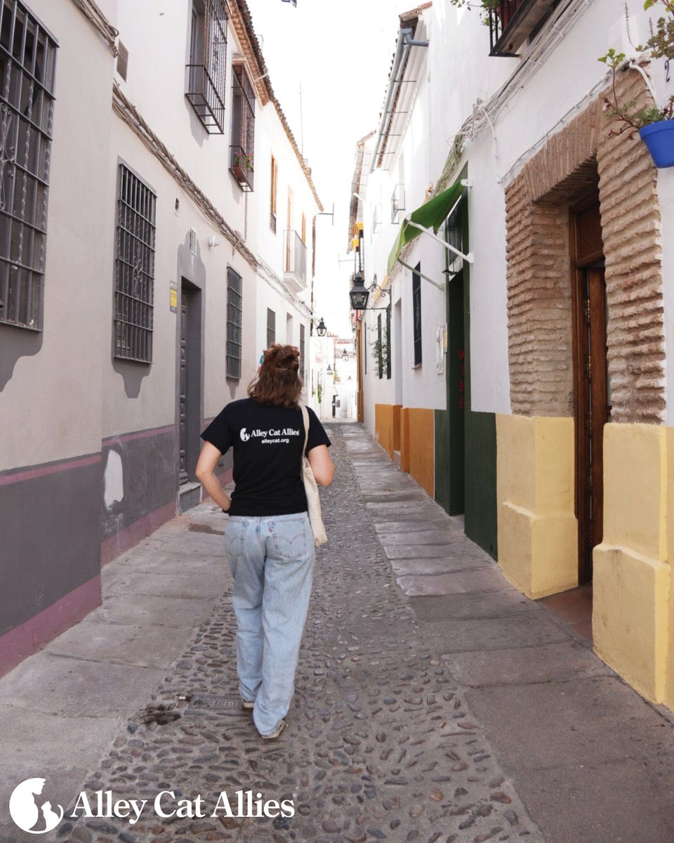 Alley Cat Allies has been on the ground in Spain to meet with the community cats who are beloved in Madrid and Córdoba and the dedicated people who care for them every day!

#communitycats #catsoutdoors #trapneuterreturn #tnrworks #FeralTuesday