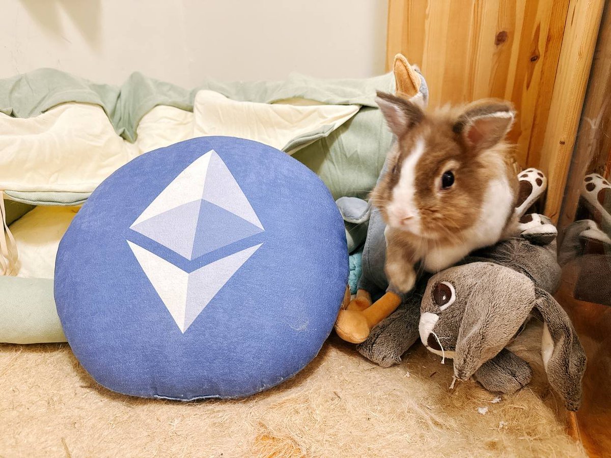 拉菲_Laffae (@laffae_lvu) on Twitter photo 【📣質押10U,抽整整一顆 ETH!! 必做🔥】
我家兔子都有一顆 $ETH 了,你還沒有嗎?? 沒關係,<a href="/BitgetWalletCN/">Bitget钱包中文频道 🩵</a> 有E說E大放送,好久沒看到門檻這麼簡單的活動了!!
Bitget Wallet 的 FOMO 星期四來到第8期,這次為了慶祝以太10週年,直接下猛藥送出 1 顆 $ETH 欸!! 【📣質押10U,抽整整一顆 ETH!! 必做🔥】
我家兔子都有一顆 $ETH 了,你還沒有嗎?? 沒關係,<a href="/BitgetWalletCN/">Bitget钱包中文频道 🩵</a> 有E說E大放送,好久沒看到門檻這麼簡單的活動了!!
Bitget Wallet 的 FOMO 星期四來到第8期,這次為了慶祝以太10週年,直接下猛藥送出 1 顆 $ETH 欸!!