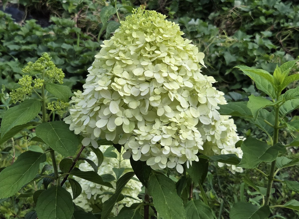 Have a beautiful day 🌞