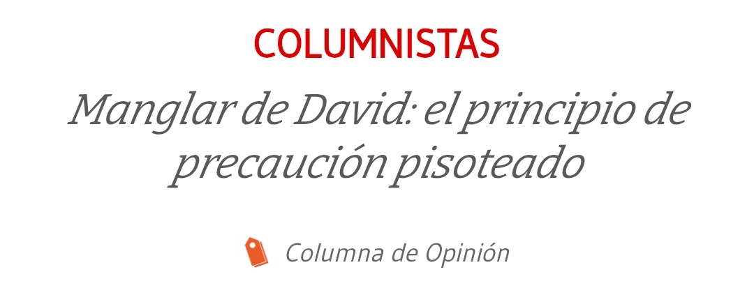 La Corte Suprema ha decidido no suspender el estudio de impacto ambiental del proyecto Puerto Barú, una decisión que deja expuestos a los manglares de David, en Chiriquí. Esta decisión permite que se avance sobre uno de los ecosistemas más valiosos del Pacífico panameño.