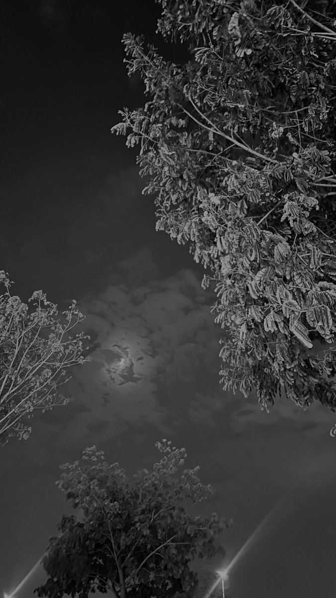 "زوايا ليلة المّرافق"