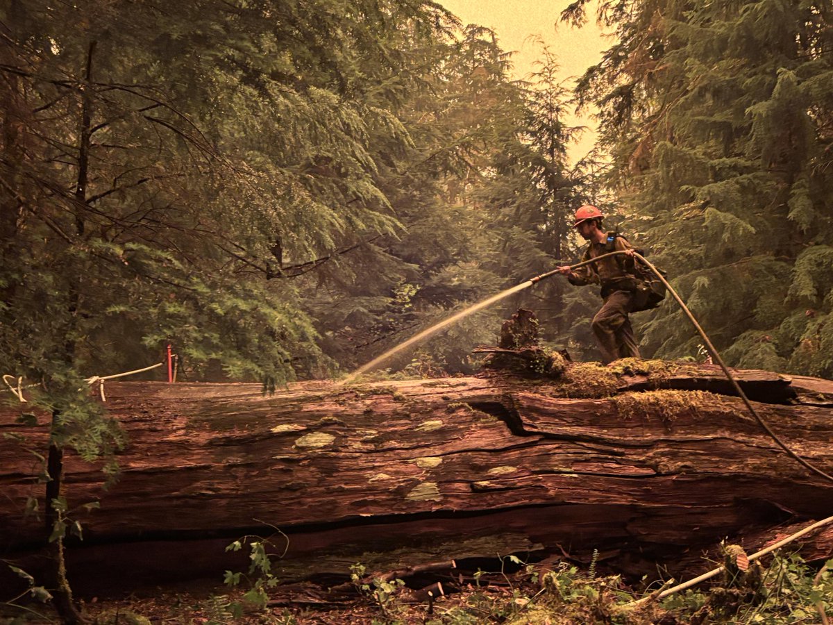 National Fire News: 08/05. Nationwide, 12,362 wildland firefighters and support personnel are assigned to incidents. Resources include 250 crews, 696 engines, 109 helicopters, and ten complex incident management teams. There are 35 large uncontained fires nationwide.