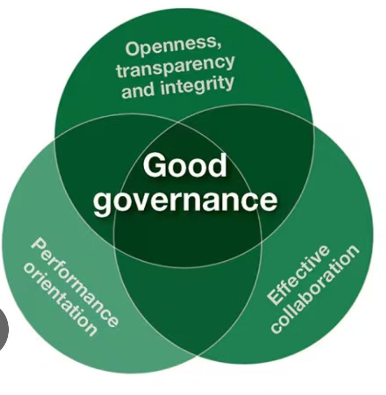 OselokaHObaze's tweet image. The Four Year Plan: 
Year 1: Streamline, Cut Governance Costs &amp;amp; correct government&apos;s lack of effective control over appropriation &amp;amp; taxation;
Year 2: Reform all weak National Institutions; 
Year 3: Transform Nigeria&apos;s economy to production;
Year 4: Conduct unassailable elections.