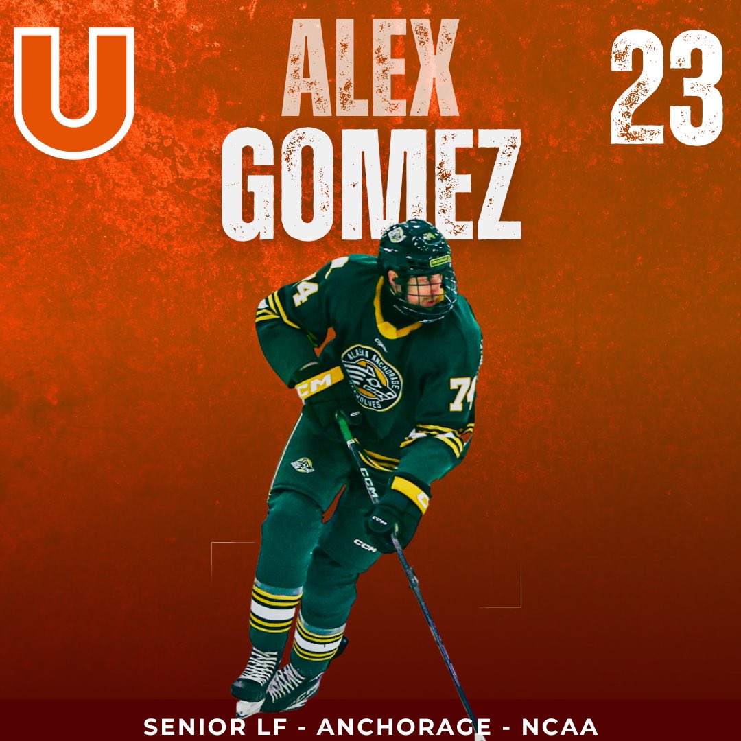 UticaMensHockey's tweet photo. Welcome to the U, Alex Gomez!

Gomez is a 6’4 Senior LF also joining us from NCAA Division 1 Alaska-Anchorage. He totaled 13 points in 63 career games and led the Seawolves at +5 in 2024-25. 

@uticauniversity @Utica_Pioneers 

#PioneerHockey https://t.co/ySJ6d0iHgP