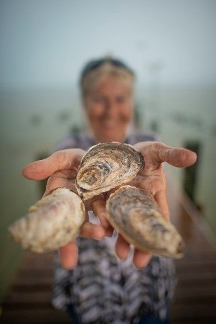usdaFSA's tweet photo. It’s National Oyster Day!

We offer loans and disaster programs for seeded oyster producers as well as risk management coverage for oysters raised in a controlled environment. https://t.co/emEzIaPQxF
