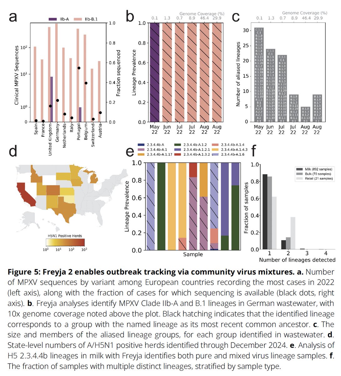 Real-time, multi-pathogen wastewater genomic surveillance is here. #Freyja 2 infers lineage prevalence &amp; growth across platforms even at low coverage &amp; tracks COVID-19, Mpox, H5N1 etc, revealing hidden diversity. medrxiv.org/content/10.110… #Genomics #WastewaterSurveillance