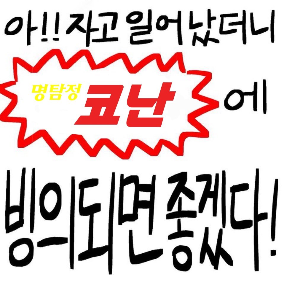 트친소 니나니뇨 (@ninanino0429) on Twitter photo 