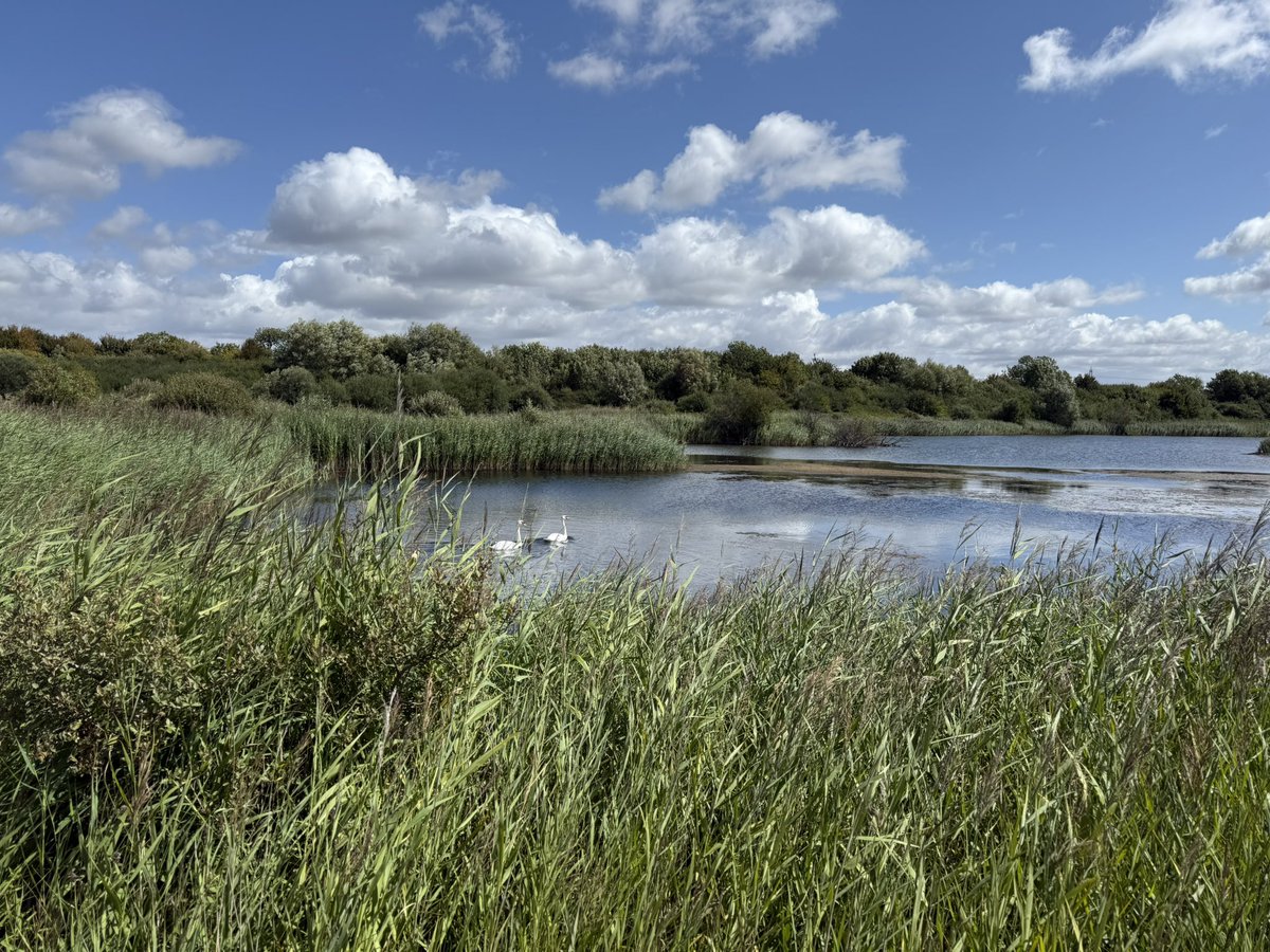 Tony Juniper tweet media