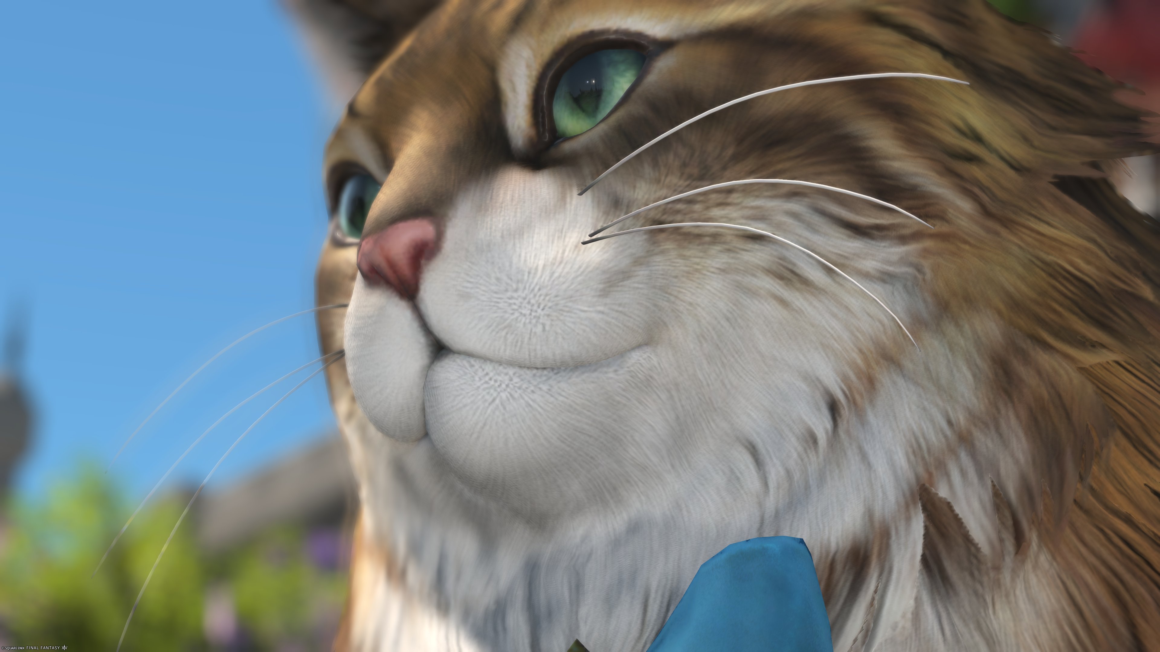 ねこ 4m763zf PETKIT Pura X 自動猫トイレ 全自動（KYOTO PET