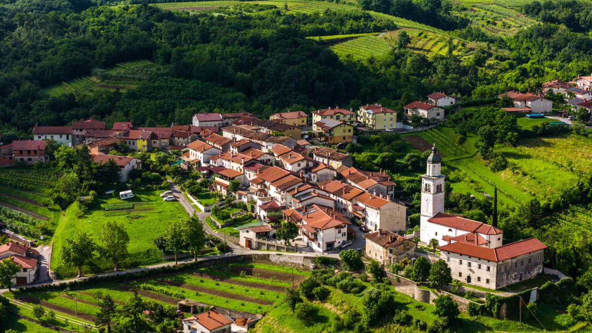 Travelweek tweet media