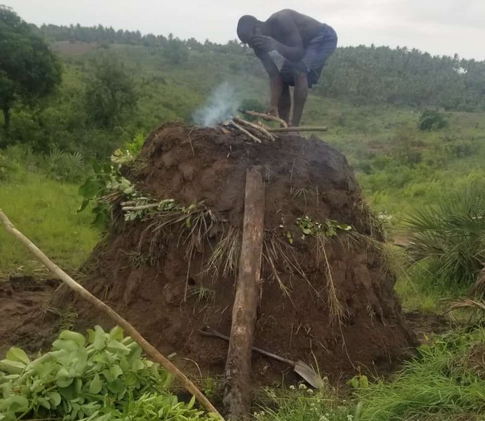 kijana ya mmarau tweet media