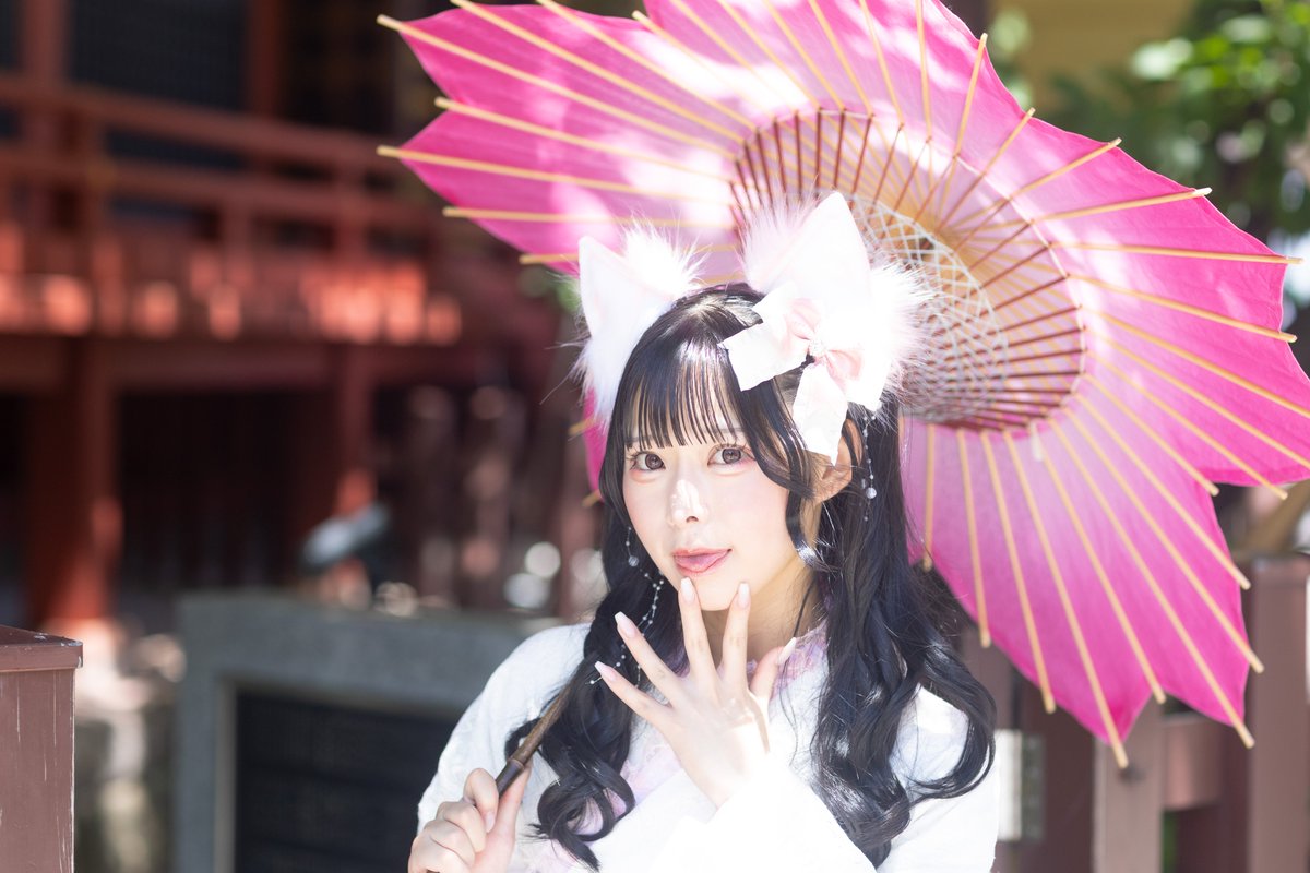 夏に咲く桜
model みさきさん
<a href="/miooyt/">みさき</a> 
#ポートレート #和服 #ケモ耳 #和傘 #みさき #モデル #photo #とみぃふぉと