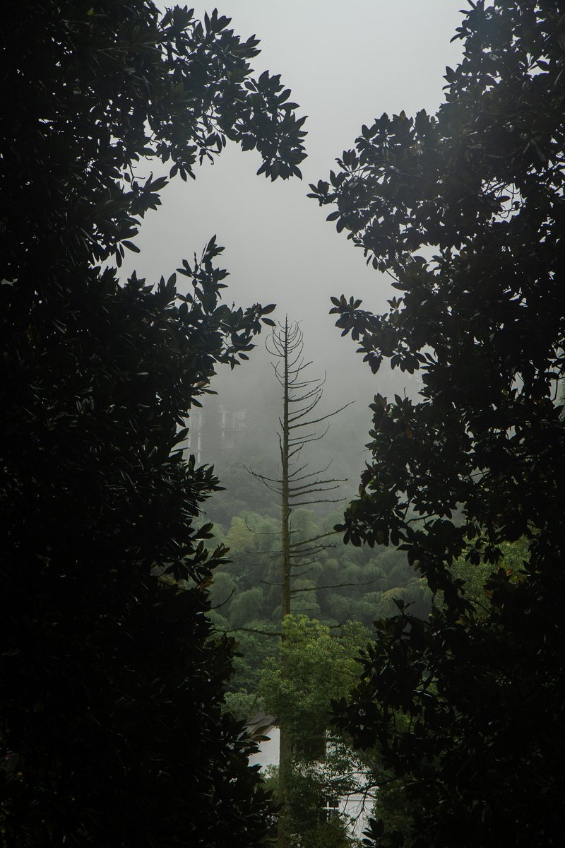 Batumi Botanical Garden, Georgia