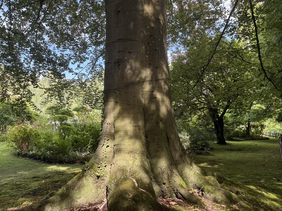 He’s a good friend of mine