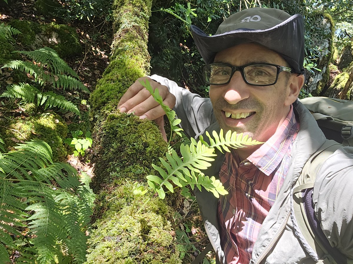 The Splendid Coed Tŷ Canol yesterday,Hyperoceanic habitat at it's best 🙂🐾🌿