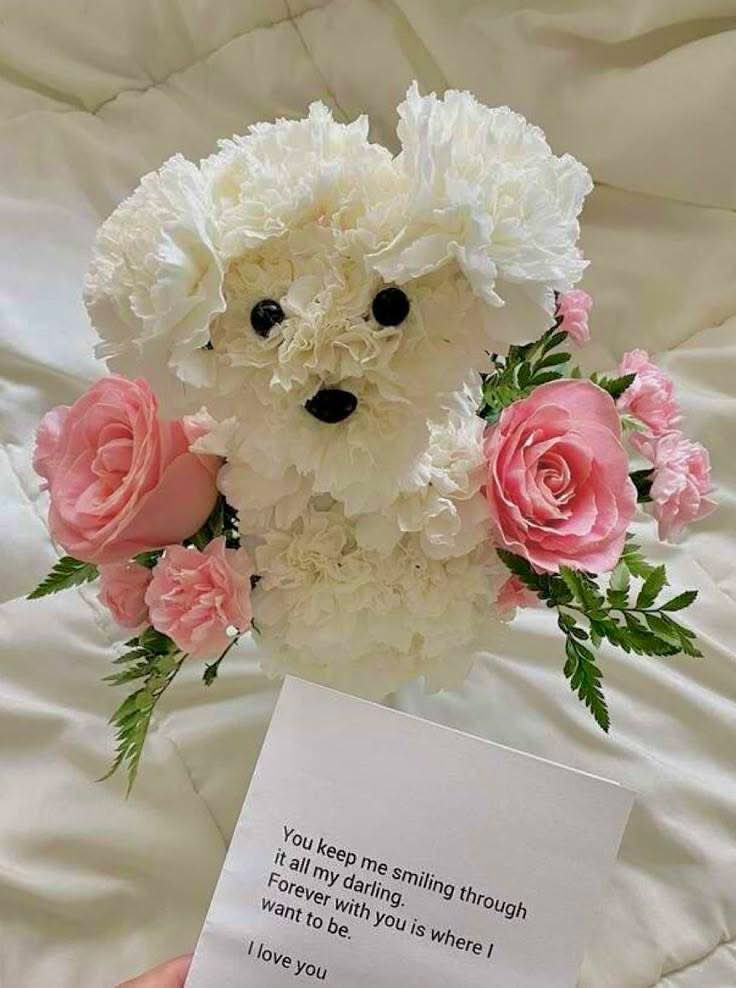 DiloConPerritos's tweet image. Que te regalen un ramo de flores es romántico, pero que te regalen un ramo de perriflores, es otro nivel 😍