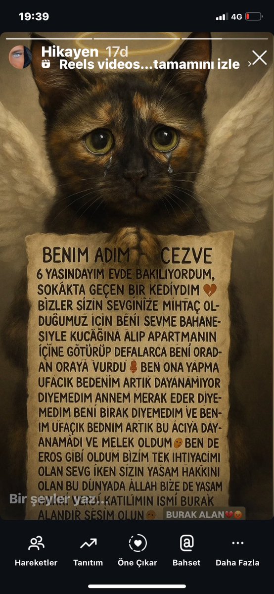 TCaysimozsoy's tweet image. Cezve için adalet
