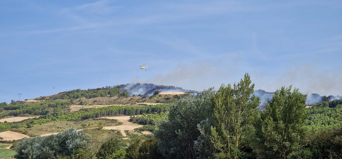 El <a href="/gob_na/">Gobierno de Navarra</a> prohíbe temporalmente la realización de determinadas actividades para prevenir que se generen incendios forestales

📎 navarra.es/es/-/nota-pren…