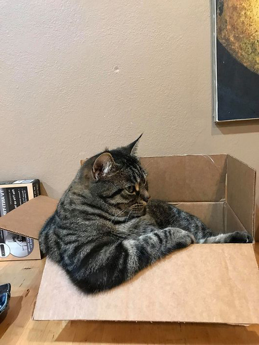 "Komt die Gort nou 'n keer op tv of hoe zit dat?"
Jazeker! Over 24 minuten begint Gort over de grens: Italië – Puglia. Eén van de mooiste streken van Italië. Trulli, Primitivo en de lippen van Mick Jagger. 
Zometeen 19.10 <a href="/NPO2/">NPO 2</a> <a href="/AVROTROS/">AVROTROS</a> 
Alvast Santé! ❤️👍🏽🍷🍷