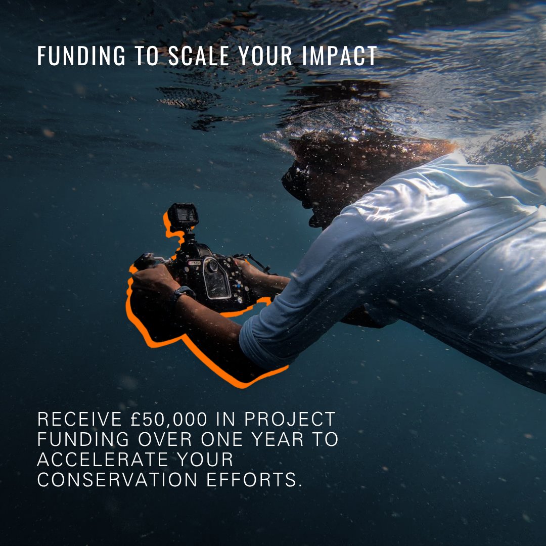 WhitleyAwards's tweet photo. 🌍 Applications are open for the 2026 Whitley Awards!

Our #WhitleyAwards celebrate &amp; fund grassroots conservation leaders protecting people, wildlife &amp; the planet — local action into global impact.

Apply before 31 October: https://t.co/fKeHLAKhF4

#ConservationFunding https://t.co/DLCYx6eiv8