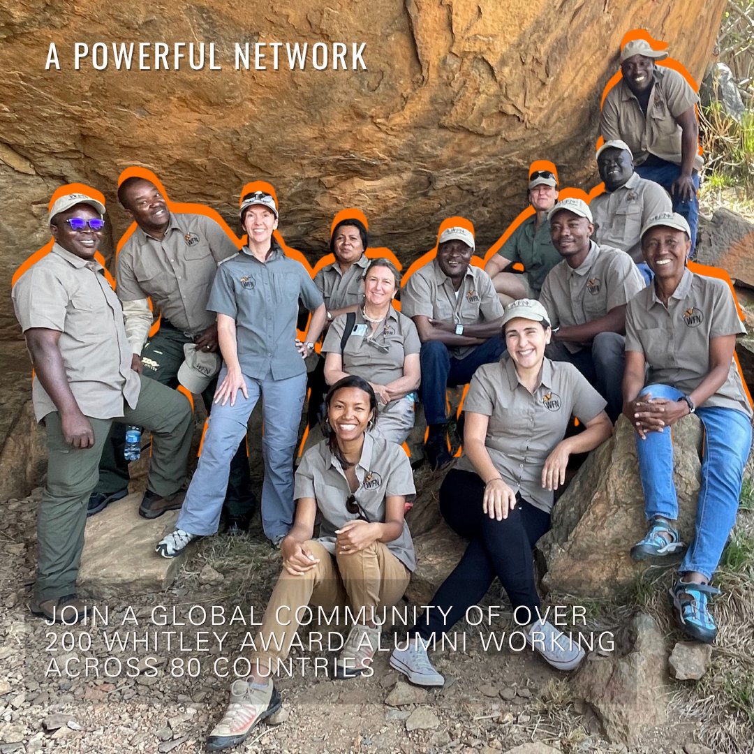 WhitleyAwards's tweet photo. 🌍 Applications are open for the 2026 Whitley Awards!

Our #WhitleyAwards celebrate &amp; fund grassroots conservation leaders protecting people, wildlife &amp; the planet — local action into global impact.

Apply before 31 October: https://t.co/fKeHLAKhF4

#ConservationFunding https://t.co/DLCYx6eiv8