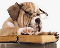 JohnStem_EISD's tweet image. 📚🐾 Bulldogs, let’s crush this summer reading challenge! Log your books on Beanstack and unlock new adventures with every page. Ready, set, read! 🚀📘 #BulldogReaders #BeanstackChallenge #SummerReading