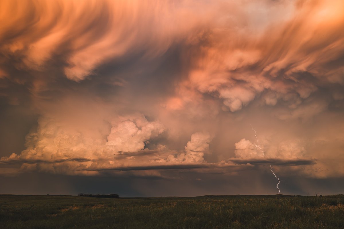 EvilBill_wx's tweet image. Fury at Sunset