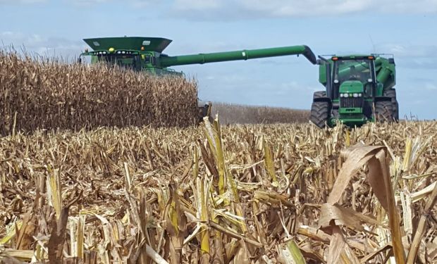 Hace tiempo vengo advirtiendo lo mismo: la presión impositiva en Córdoba está asfixiando a los productores. Lo que se pierde en un año equivale a 2.600 tractores. Es una locura. Presentamos proyecto tras proyecto para aliviar al campo, para bajar Ingresos Brutos, para eliminar