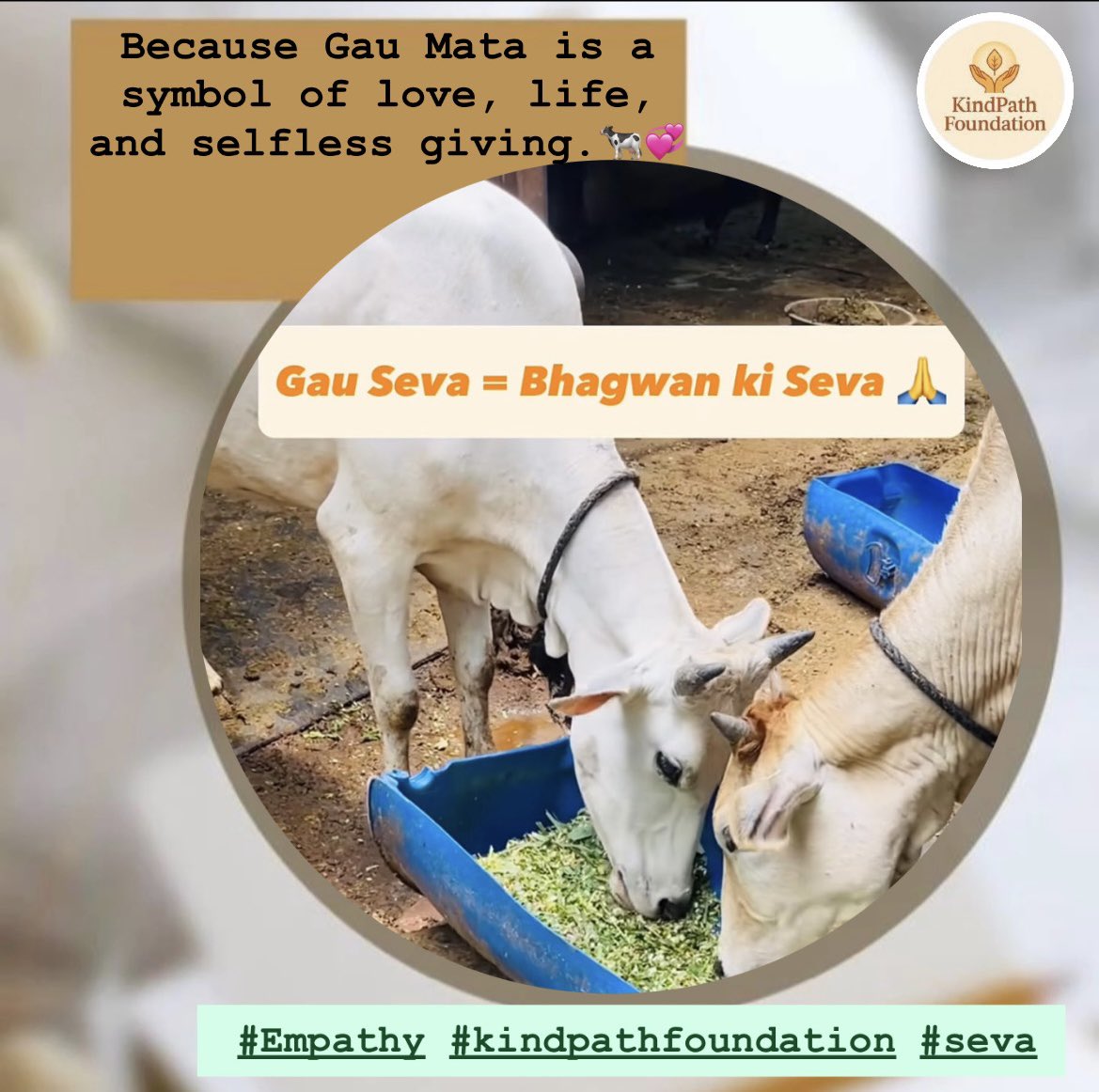 Kindpathngo's tweet photo. Seva don’t ask for much- just your heart.💛

🌸Link in bio to support Kindpath Foundation!

#DoMoreSeva #SupportWithHeart #KindpathWay #KindnessMatters #SupportAndServe #JoinKindpath https://t.co/hJHdk6QLbJ