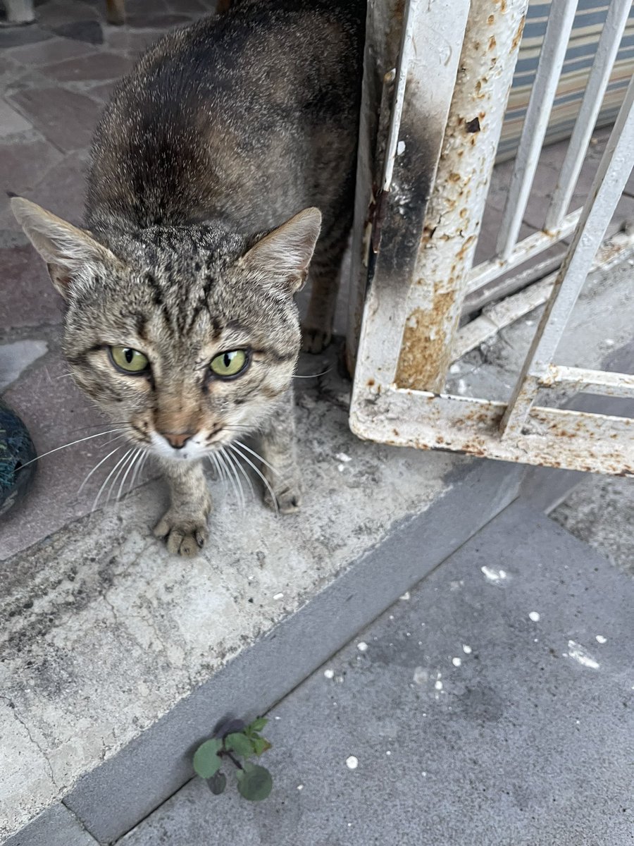 Нам устроили небольшую экскурсию в дом, где родился и вырос известный армянский писатель Грант Матевосян. К слову сказать, большим поклонником прозы Гранта Матевосяна был Сергей Довлатов. Музея как такового в доме пока не организовано, но всё равно интересно