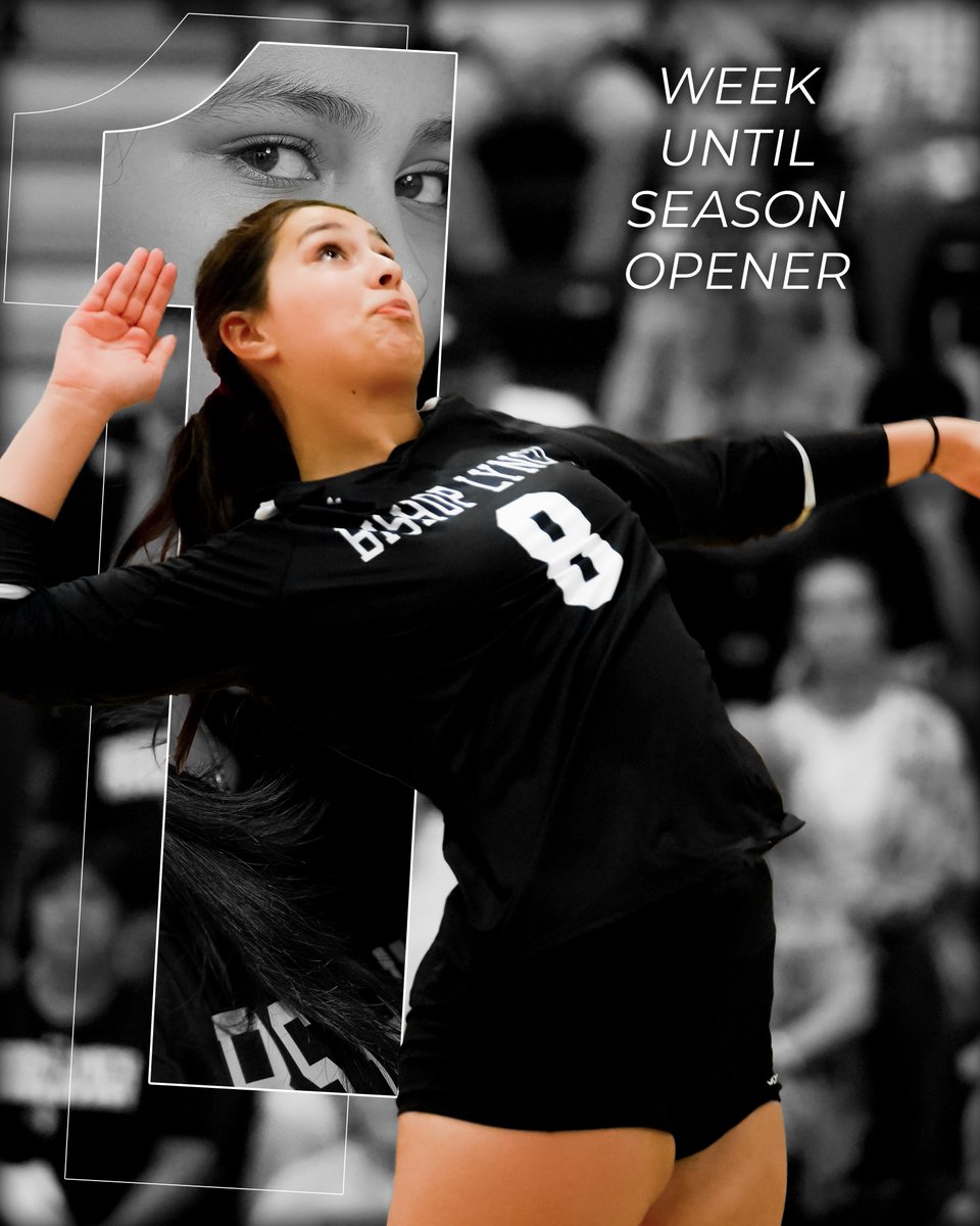 blathletics's tweet photo. In 1๏ธโฃ6๏ธโฃ8๏ธโฃ hours, we will be serving it up in our season opener! ๐๐
#GoFriars // #FriarVB https://t.co/7vdOrwyzxJ