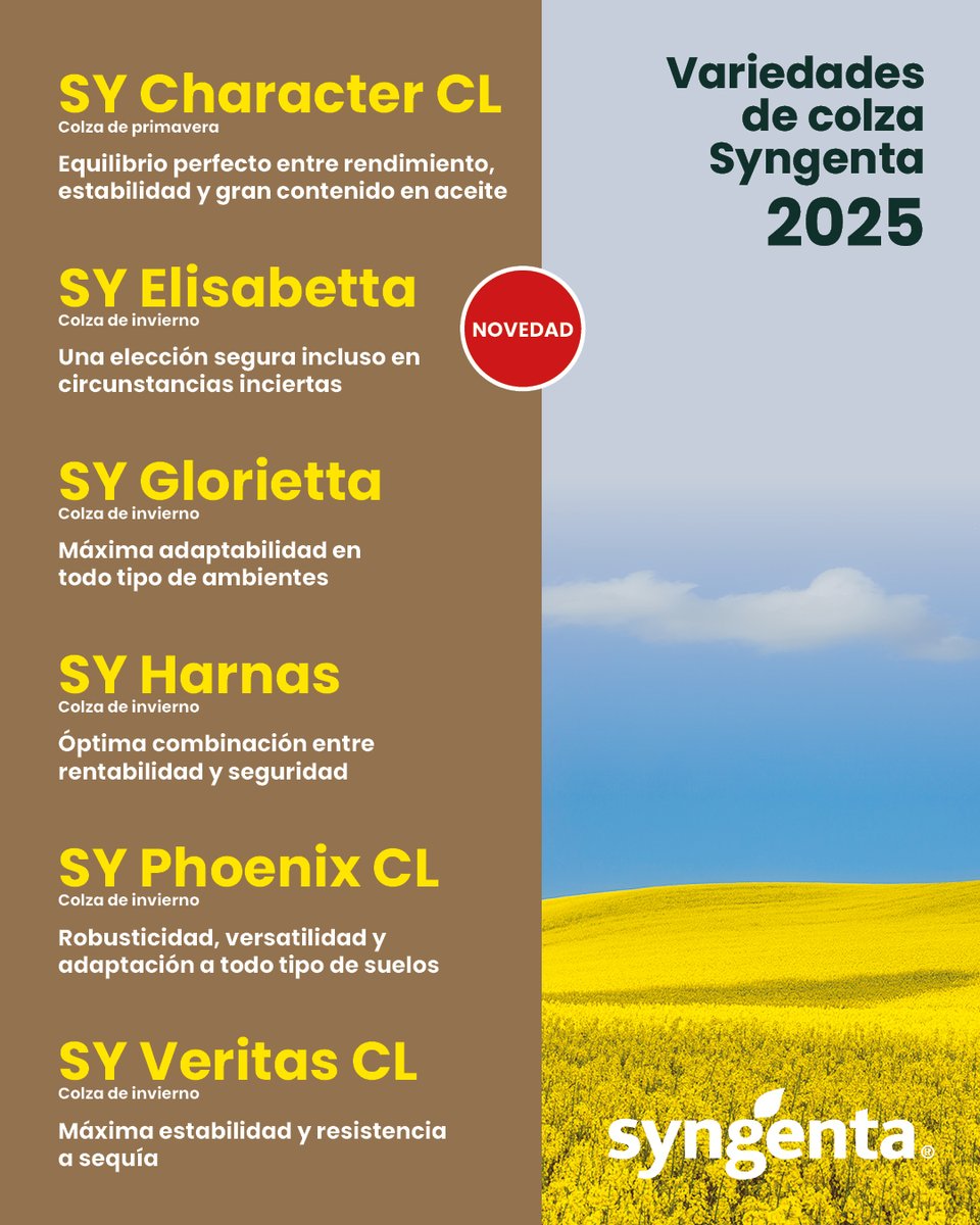 🆕 ¡Ya disponible el Catálogo de Colza 2025 de Syngenta Semillas!

✅ Variedades con alto vigor, alto contenido en aceite y gran estabilidad.

😉☝🏼Centro-Norte y Sur, ¡tenemos la tuya!

Consulta el catálogo completo aquí 👉 syngenta.es/productos/semi…