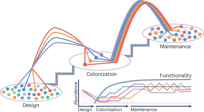 Out Now! Applying ecological principles to microbiome engineering bit.ly/45mHR6f #Microbiome #Ecology #Sustainability