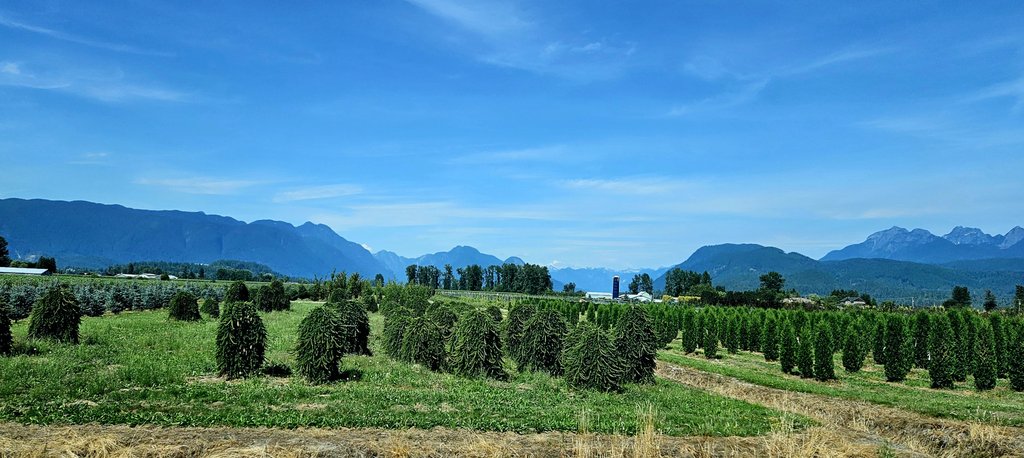 LindaPeters64's tweet photo. Good morning from Metro Vancouver, B.C. 🍁
I'm back from a wonderfully restorative #BCDay long weekend off the grid.
Where are you joining today's #TRLT chat on "Travel Mishaps" from? https://t.co/edtAa4HXfc