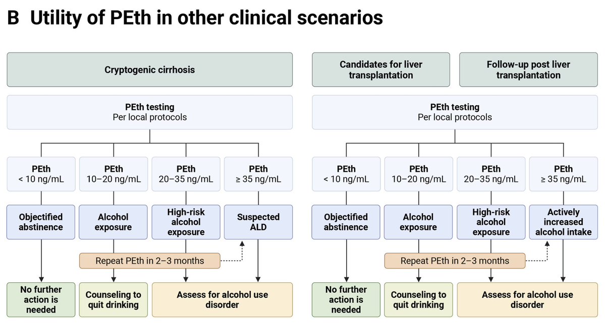Luis Antonio Díaz, MD (@luisantoniodiaz) on Twitter photo Phosphatidylethanol (PEth) testing could redefine how we classify SLD subtypes by uncovering under‑reported alcohol use and guiding treatment, trials & prognosis. Led by <a href="/DrLoomba/">Rohit Loomba</a> <a href="/MASLDResearch/">MASLD Research Center</a> <a href="/UCSD_GI/">UCSD Gastroenterology</a>
🔗 doi.org/10.1053/j.gast…
#LiverTwitter <a href="/AASLDtweets/">AASLD</a> <a href="/EASLedu/">EASL Education</a> Phosphatidylethanol (PEth) testing could redefine how we classify SLD subtypes by uncovering under‑reported alcohol use and guiding treatment, trials & prognosis. Led by <a href="/DrLoomba/">Rohit Loomba</a> <a href="/MASLDResearch/">MASLD Research Center</a> <a href="/UCSD_GI/">UCSD Gastroenterology</a>
🔗 doi.org/10.1053/j.gast…
#LiverTwitter <a href="/AASLDtweets/">AASLD</a> <a href="/EASLedu/">EASL Education</a>