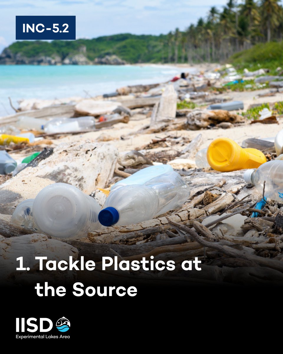 It’s here!

The world is gathering in Geneva for the next two weeks to hash out a way for the world to combat plastic pollution—together.

We’re on the ground at #INC52, and we have some. serious. ideas. about what needs to happen in order for the treaty to be effective. (1/2)