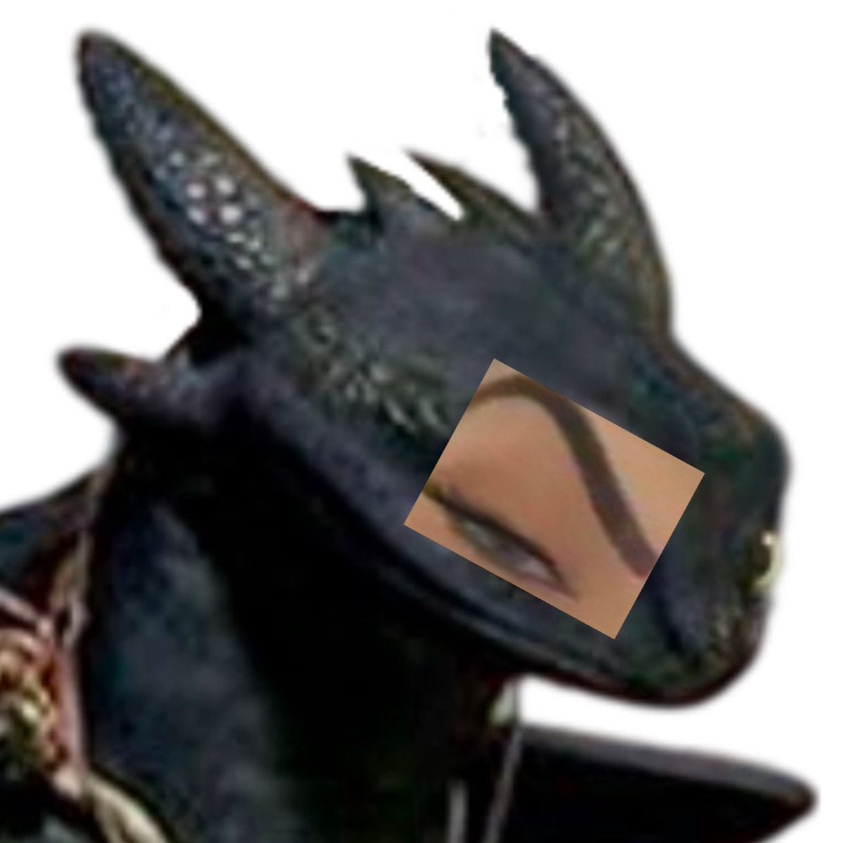 skrillsfury's tweet image. #httyd