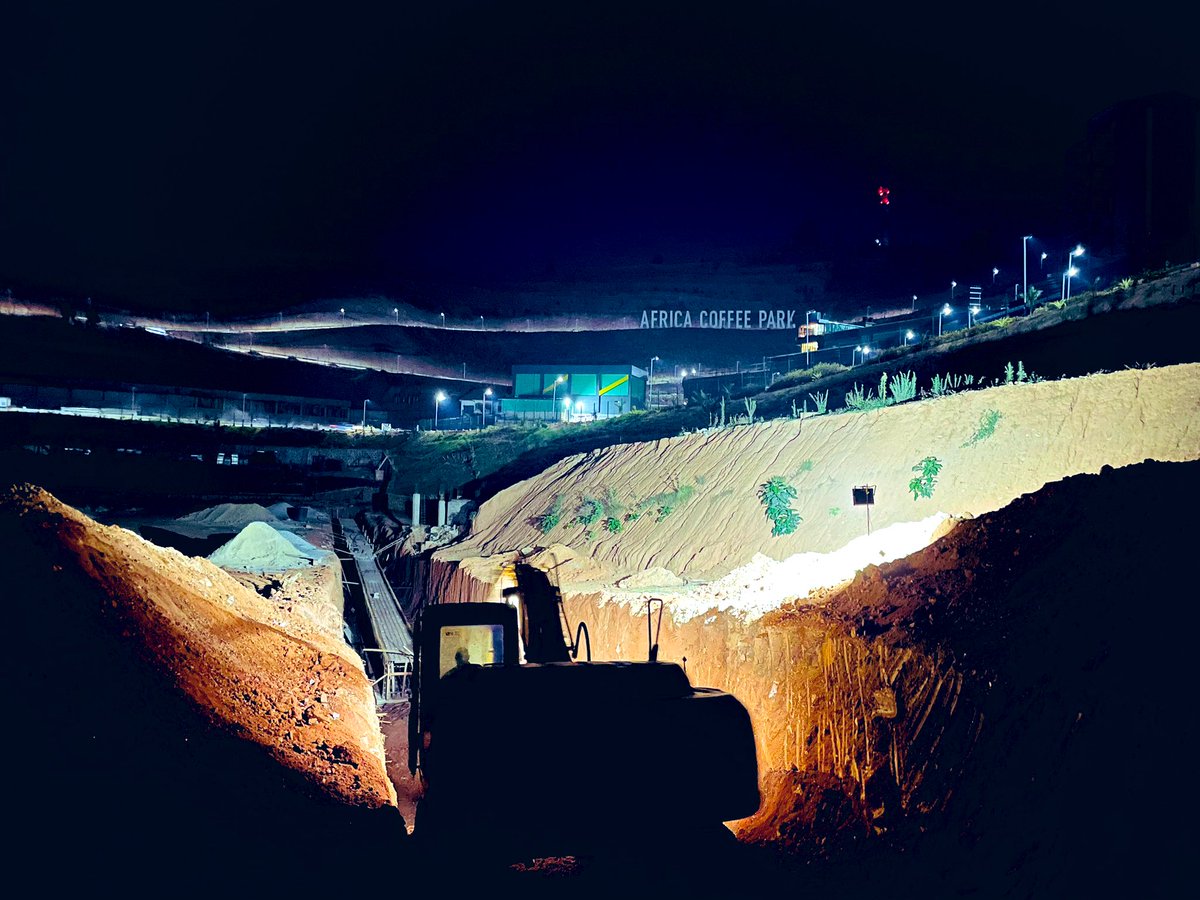 Night excavation initiated: low-light procedures in effect

Midnight soil tells ancient stories.