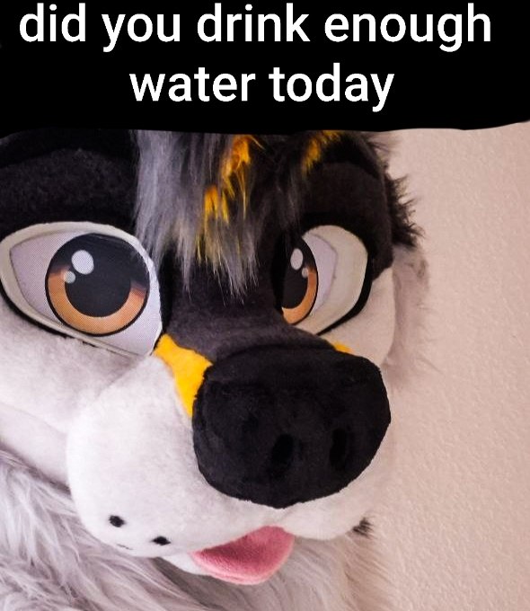 did you? 🥺