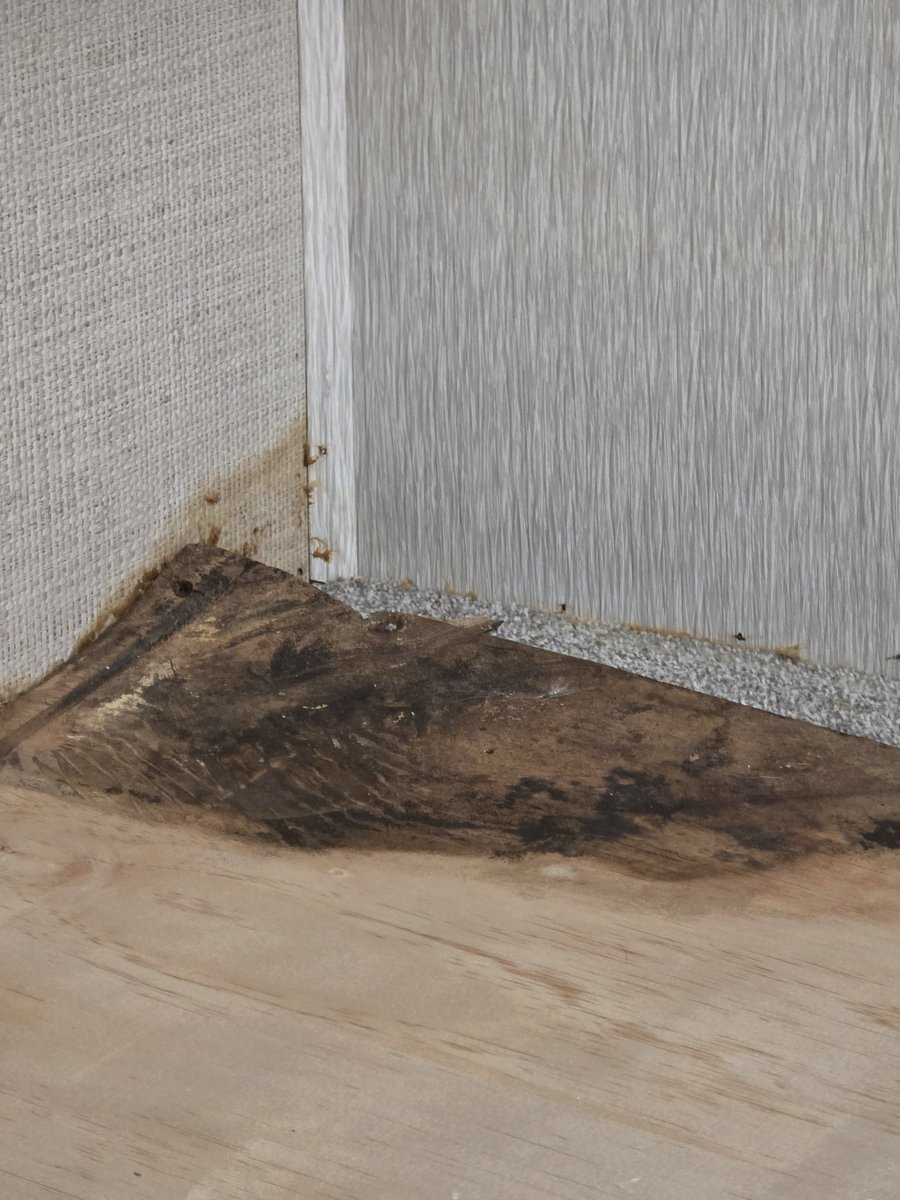 Linznextdoor02's tweet photo. So many water leaks in this "brand new" camper 😬 https://t.co/XzvYfDNeDx