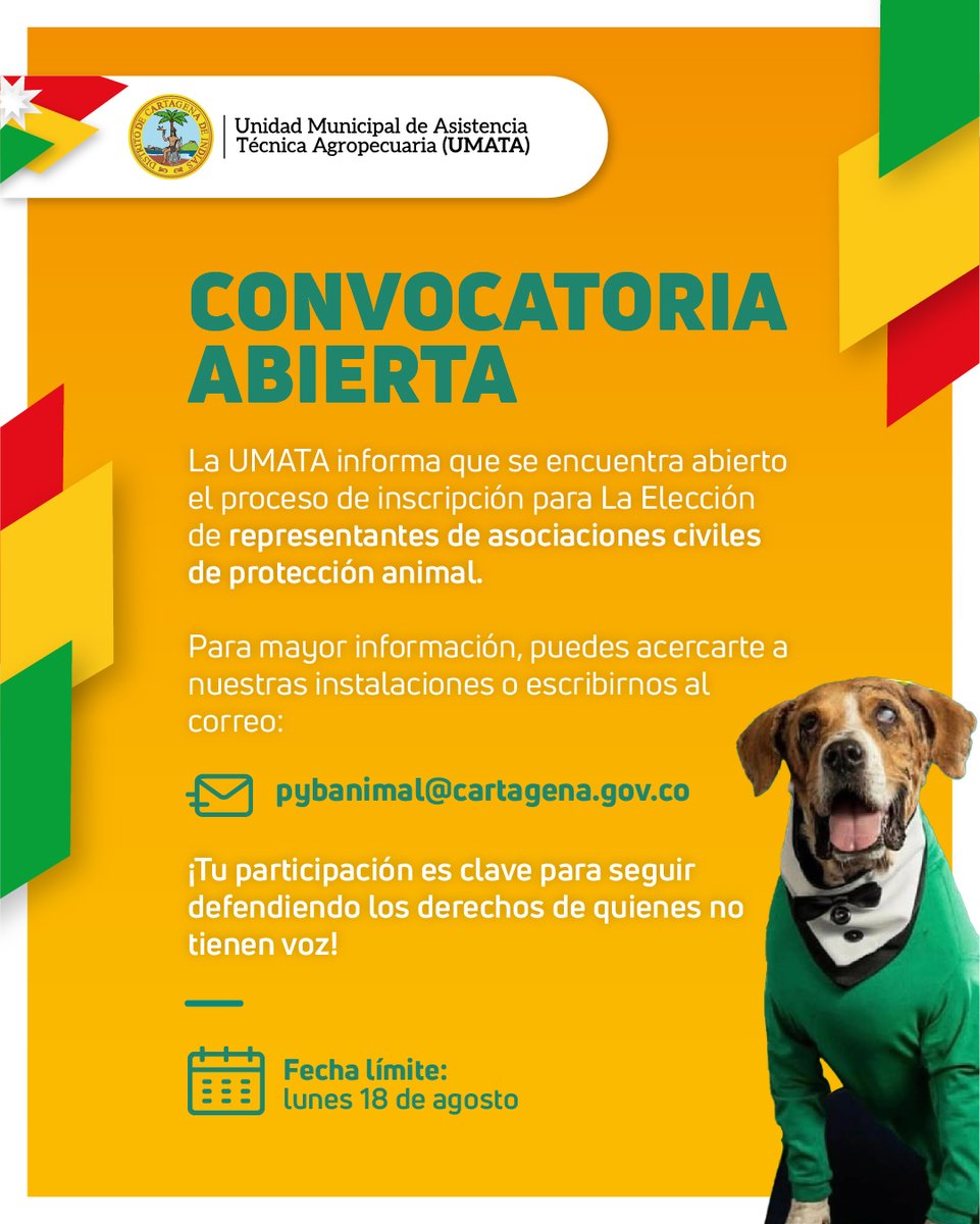 umatacartagena (@umatactg) on Twitter photo 📣Convocatoria abierta
Escríbenos a pybanimal@cartagena.gov.co o acércate a las instalaciones de la UMATA para conocer todos los detalles.
¡Tu participación es clave para seguir defendiendo los derechos de quienes no tienen voz!
<a href="/dumek_turbay/">Dumek Turbay Paz</a> 📣Convocatoria abierta
Escríbenos a pybanimal@cartagena.gov.co o acércate a las instalaciones de la UMATA para conocer todos los detalles.
¡Tu participación es clave para seguir defendiendo los derechos de quienes no tienen voz!
<a href="/dumek_turbay/">Dumek Turbay Paz</a>