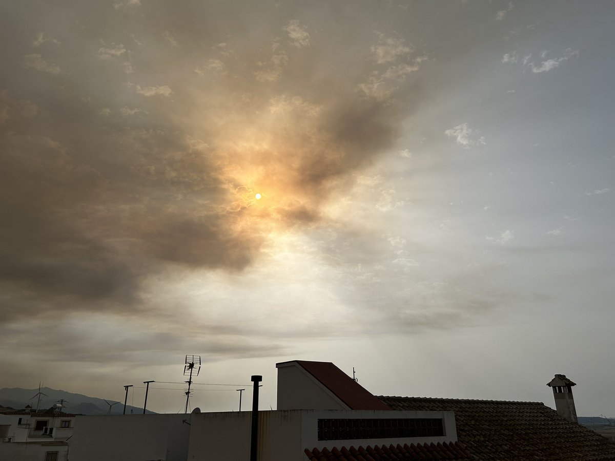 #IFTarifa El humo llega a #Facinas 19:00 h. Cortada #N340 km 71-81 en ambos sentidos