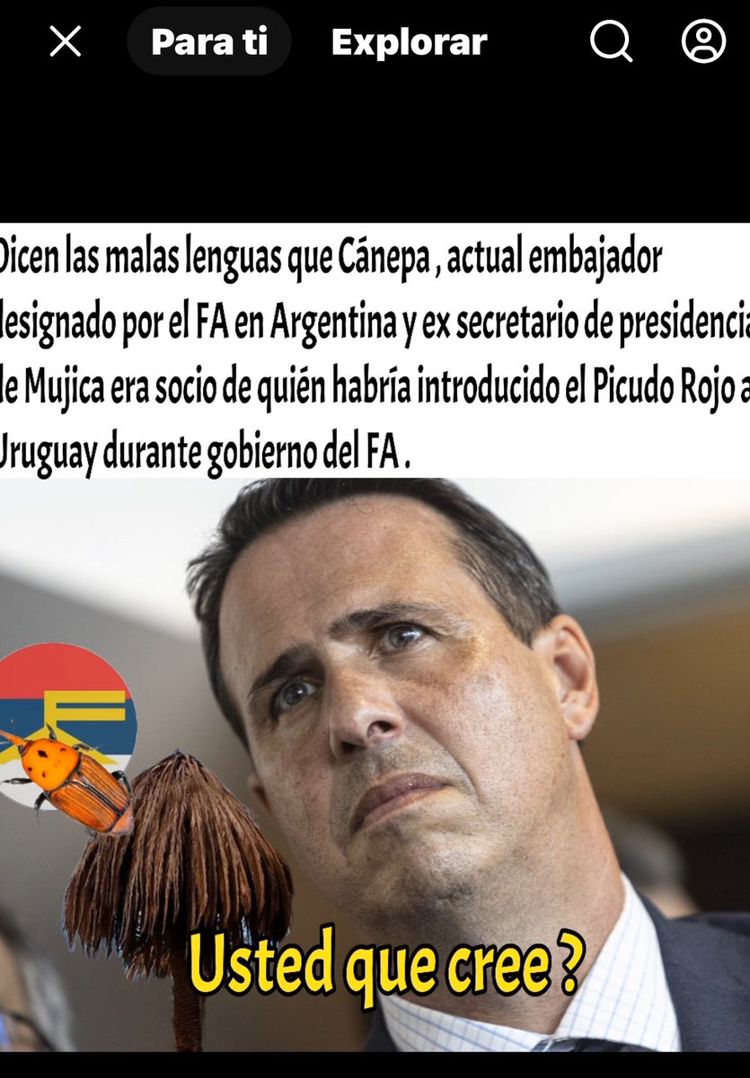 Ringer Elsie (@elsieringer) on Twitter photo 