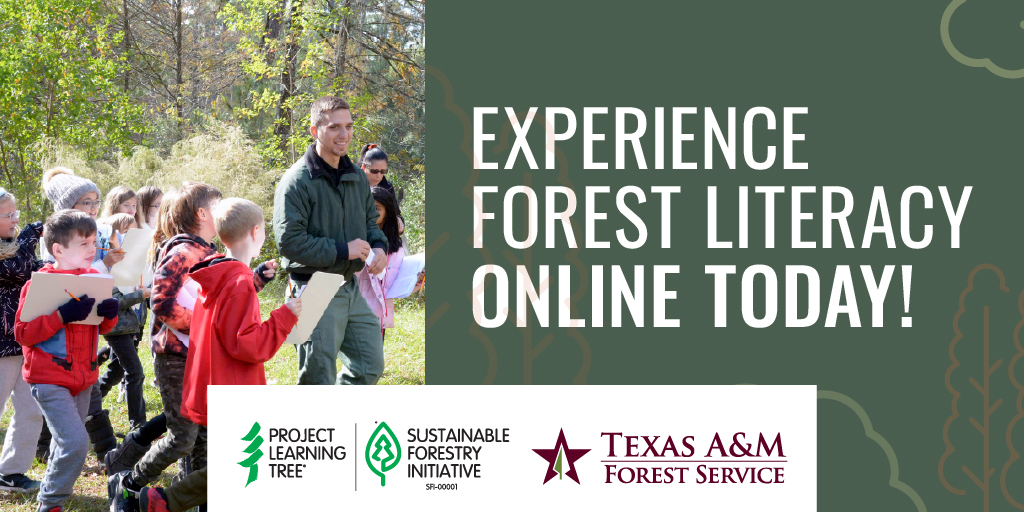 TXForestService's tweet image. We recently launched an online forestry literacy course with @sfiprogram—Forest Literacy: Understanding the Values of Trees, Forests and Sustainability. It's designed for all formal & informal educators, admin, natural resource personnel, & more.
👉tfsweb.tamu.edu/new-educationa…