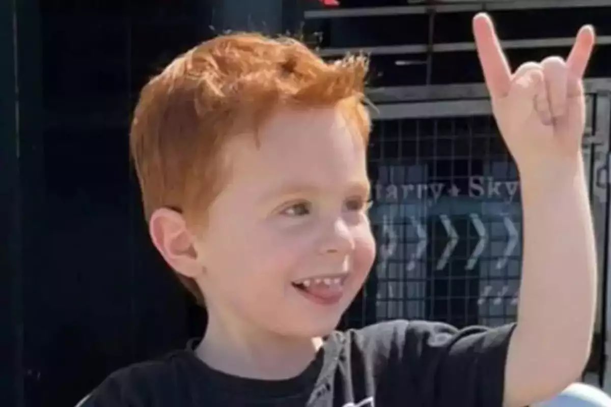 🪽🪽🪽🪽🪽🪽